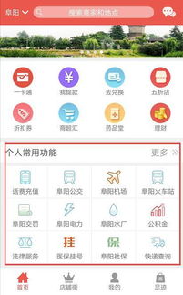 三、购票指南：怎样顺利买到苏州至阜阳的火车票？#