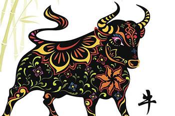 野马般的财富自由