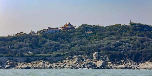 交通餐饮魔幻物语