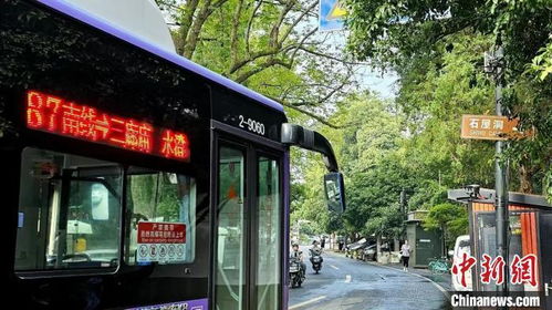 震惊！2026年西湖桂花竟会这样？不看后悔三生三世