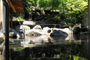漫步温泉街：感受慢节奏的生活