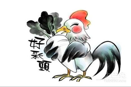 87年属兔打麻将财运如何，与75年生肖兔今日下午麻将运势有何关联？