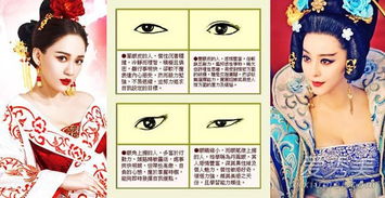 面相与运势的关联