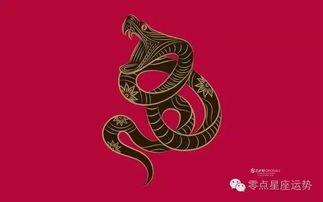 今日水墨生肖运势如何，十二生肖今日运势详解是什么？