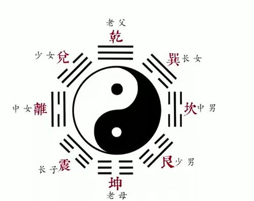 风水算命好学吗,算命风水学