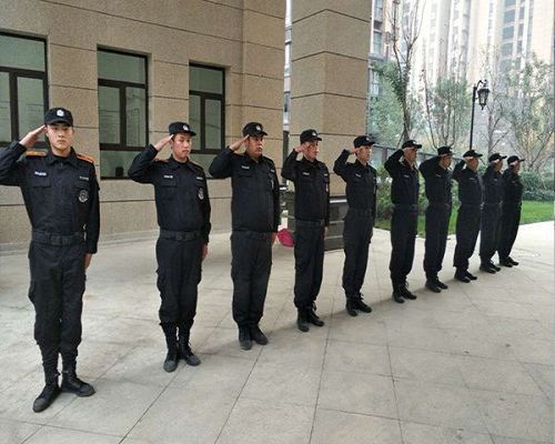 旅游保镖：是救命稻草还是智商税？