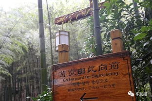 别忘了更多添点噪音和细节感