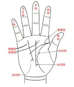揭秘手相奥秘：你的一夜暴富可能藏在掌纹之中！