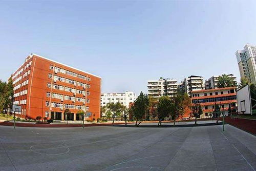 城区公园：现代化化与天然交织