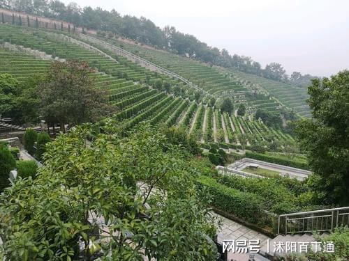 二、 目的地简介——沭阳的魅力所在