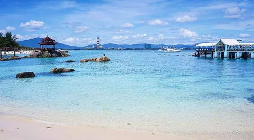 天气：热成狗VS湿到发霉