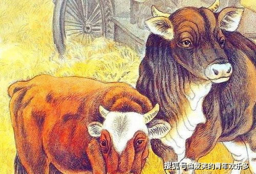 为什么属牛的人被认为没有财运，属牛的三合六合转运物件究竟是什么？