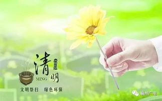 现代农村清明：绿色祭祀，生态扫墓，文明祭祖新风尚