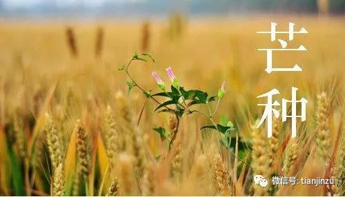 一、 先别急着起名，先来点命理八卦（真实的）