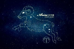 谁先爆炸比赛