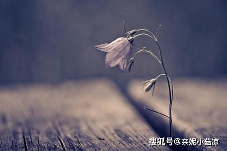 生肖与星座：谁是你命中注定的毒药？