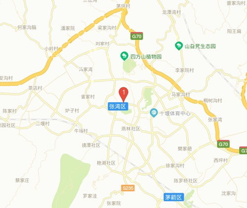 五、  周边景点乱入 —— 神农架 vs 武当山