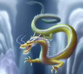 1.2 牛年较大哥们的福报