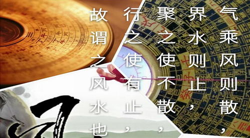 事业运被冲进下水道！