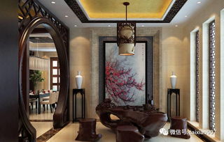 冬青放室内风水,冬青放室内风水