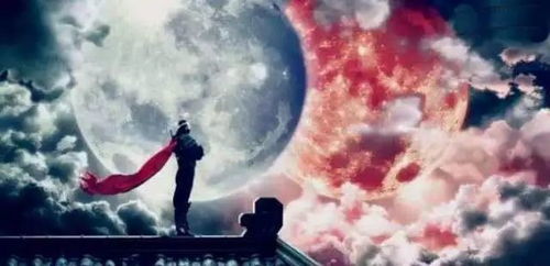 星宿与命运的后巷