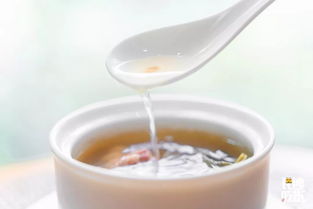 冲泡时刻——喝一次就炎热爱上这世界？