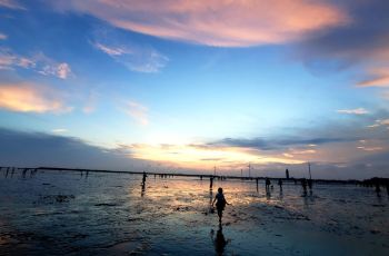 惊天动地的优惠情报