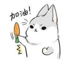 深厚夜的森林