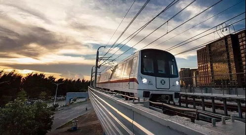 交通攻略：一场说走就走的噩梦