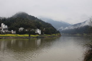 桂林山水春日赏花游——乱七八糟的推荐路线（大杂烩版）