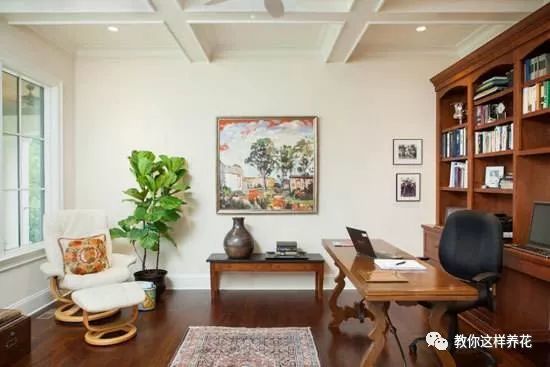 一、为什么要在书房养花草？——空气、 运势、情绪三位一体的混沌理论