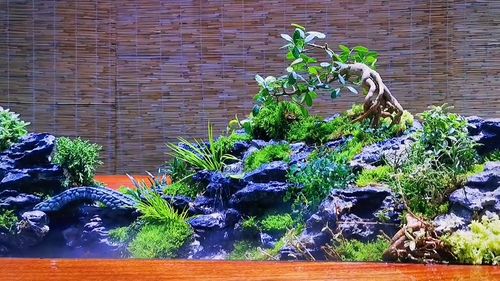 流水景观茶台,流水茶台布景