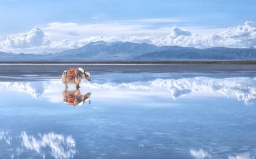 二、 怎么把自己塞进这片“白色海洋”