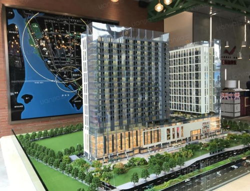 星座的启示：双子与天秤的纠缠