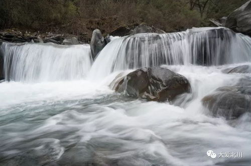 2026年最新宰客手段曝光！
