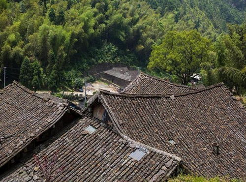 一个村子的风水是怎么破的,一个村子的风水是怎么破的