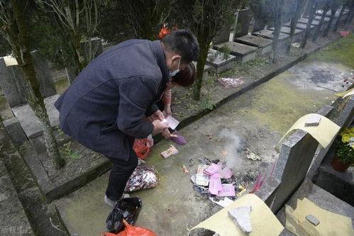 女婿扫墓这事，真的能炸裂全家运势吗？2026年黄历警告！