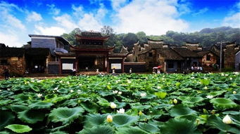 一、 曹地村的“古村新韵”乱入2025