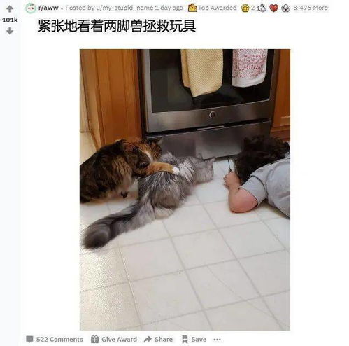 震惊！94年狗男桃花运惨不忍睹？风水大师都不敢说的秘密