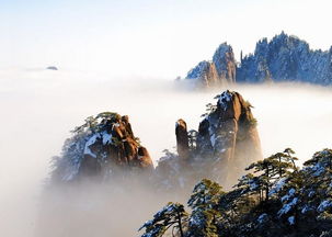 那些个奇峰怪石（真的吗？）