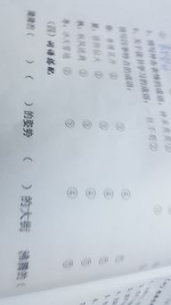 优柔寡断的生肖是什么？优柔寡断是什么意思？