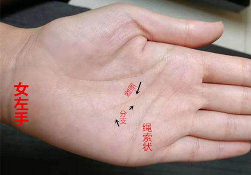 揭秘手相：探寻你的婚期之谜