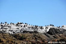 当旅行变成一场大型PUA现场：那些年我们被网红照骗收割的智商税
