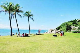 【避坑】2026年黄历出行指南