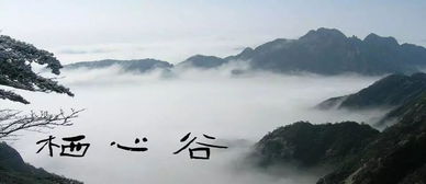 情感变化波动：从繁忙到宁静，从尘埃到星空