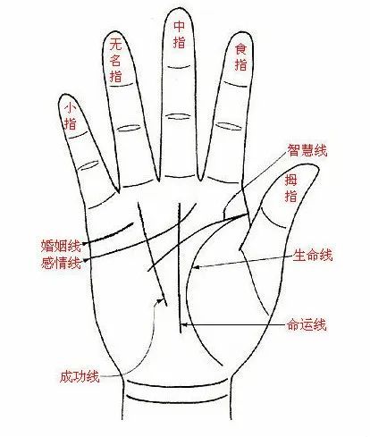 男性手纹杂乱繁多，手相纹路细且清晰，这是否意味着什么？