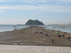 #1 迷路了 #2 司机老王的忠告 #3 路边摊的烤鱿鱼味道太香