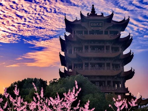 一梦黄鹤，谁主沉浮？