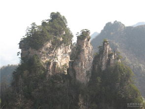 一、 啥是天子山？它到底有什么特别的？