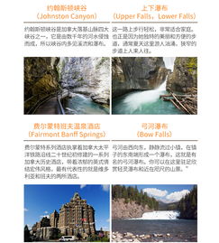 篇章一：邂逅新都， 时光穿梭的起点